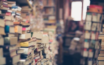 Why You Shouldn’t Clear a Hoarder’s Nest Yourself