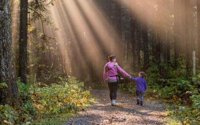 Talking to your Family About Your Will