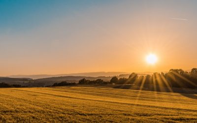 Why Sell Your Property at Auction?