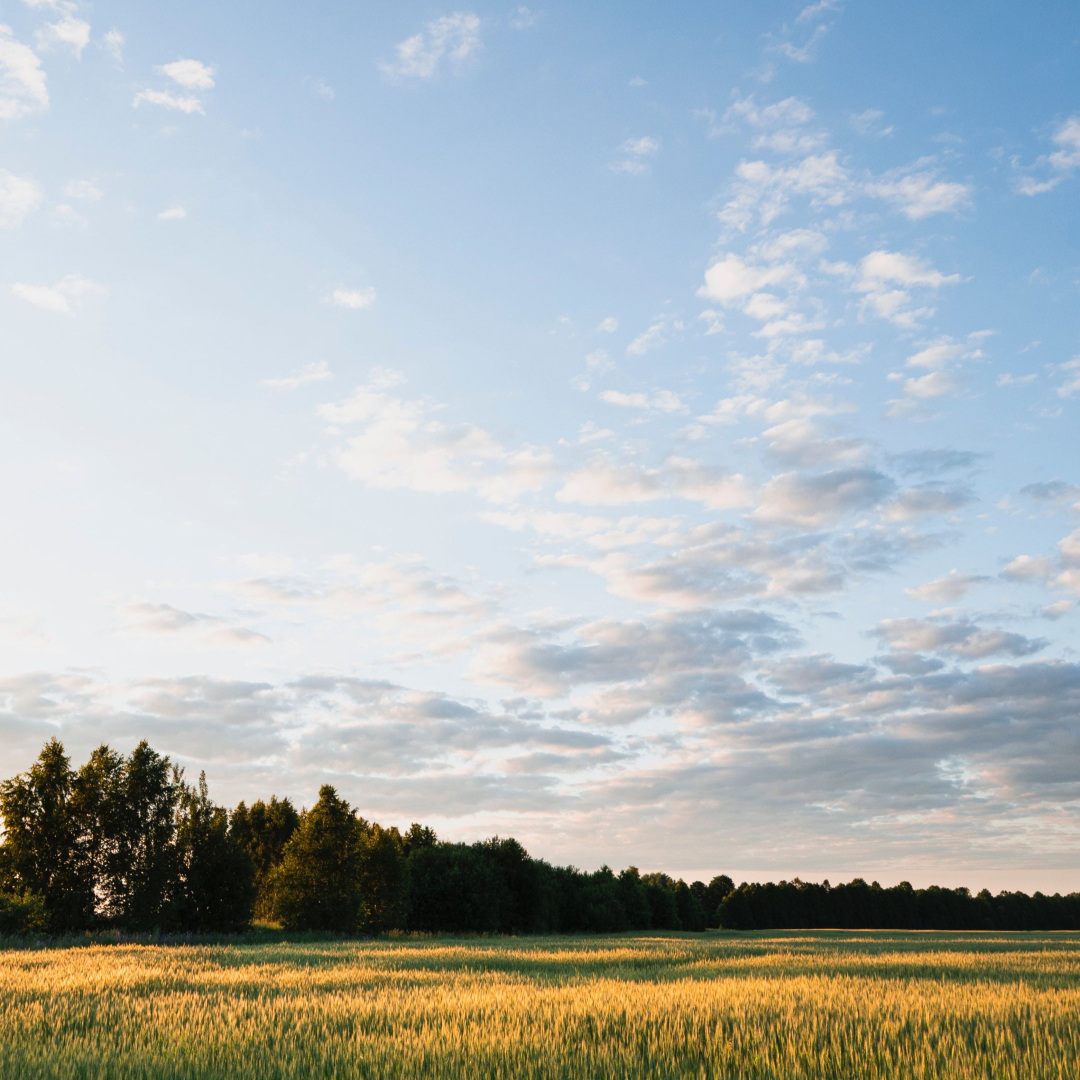 There are many things to cover when planning your estate. Of course, no one enjoys thinking about what happens after we die, but ensuring you plan your estate is important. This means that not only will your wishes be carried out, but also your loved ones will have an easier time navigating everything after your death. So, we have compiled a handy A-Z guide to estate planning. 